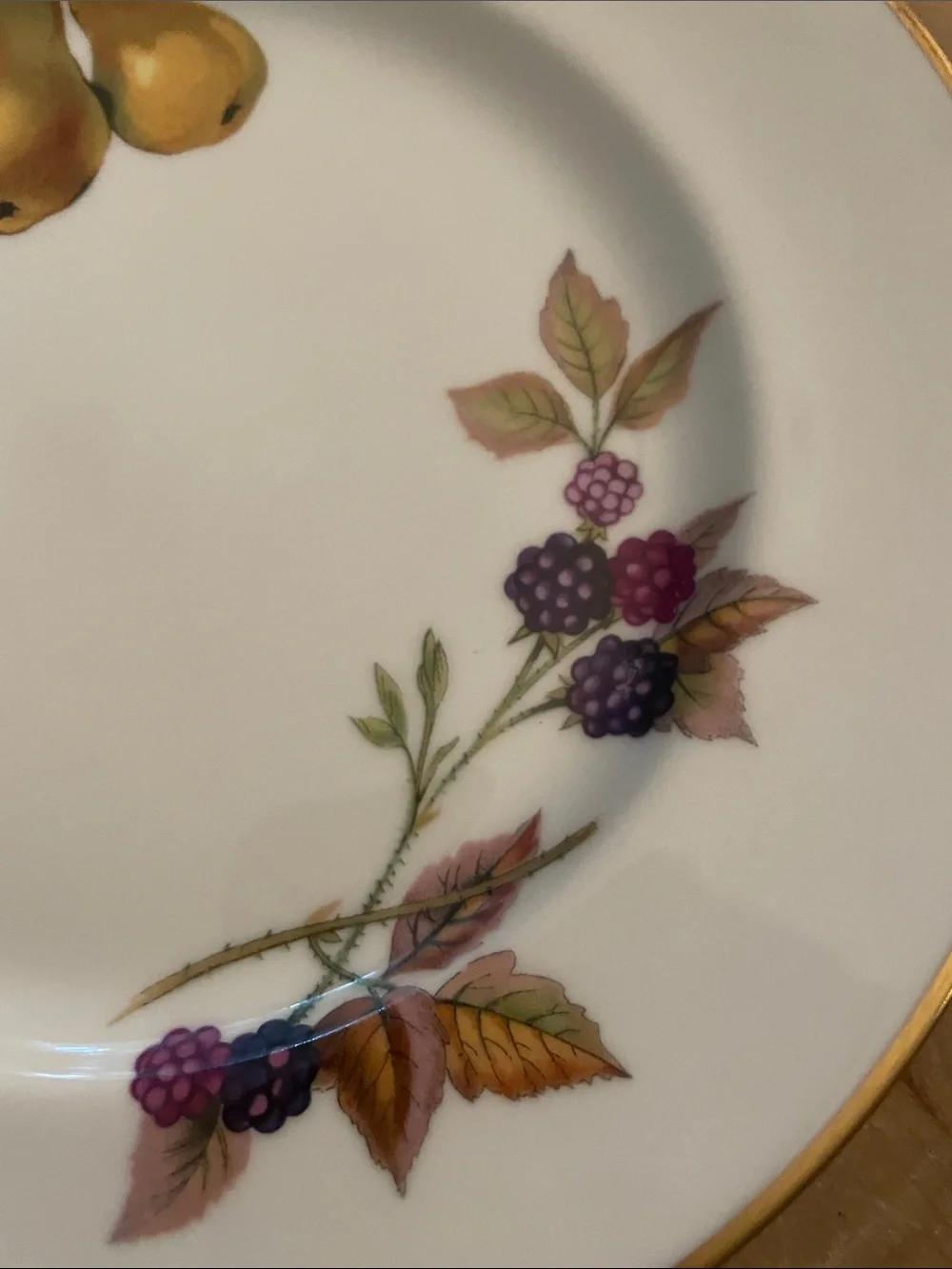 Royal Worcester Evesham White Salad Plates with Gold Rim and Fruit Motif  8.5(8)